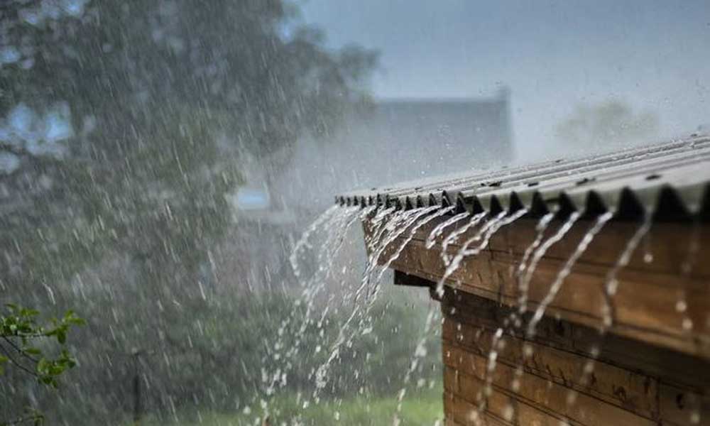 Weather forecast for nighttime of 29th September and full day of 30th September, 2025